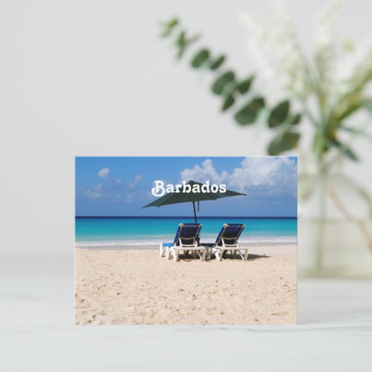 Carte Postale Plage à La Barbade (Debout devant)