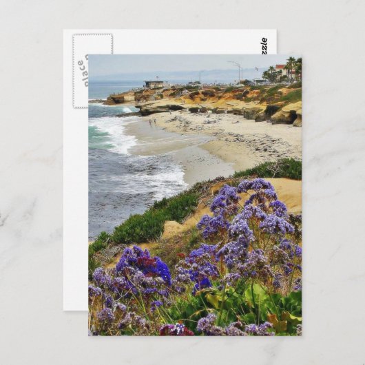 Carte Postale Plage À La Jolla Cove (Devant / Derrière)