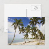 Carte Postale Plage à Punta Cana (Devant / Derrière)