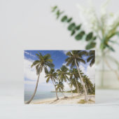 Carte Postale Plage à Punta Cana (Debout devant)