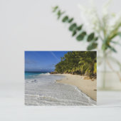 Carte Postale Plage Anse Victorin 2 (Debout devant)