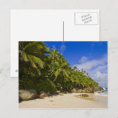 Carte Postale Plage Anse Victorin 3 (Devant / Derrière)