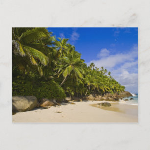 Carte Postale Plage Anse Victorin 3