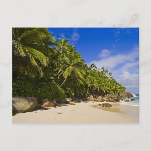 Carte Postale Plage Anse Victorin 3 (Devant)