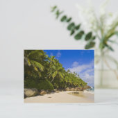 Carte Postale Plage Anse Victorin 3 (Debout devant)
