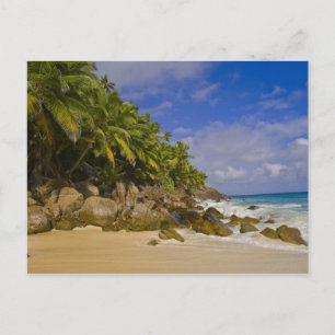 Carte Postale Plage Anse Victorin 4