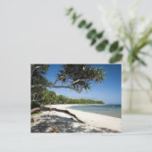 Carte Postale Plage australienne (Debout devant)