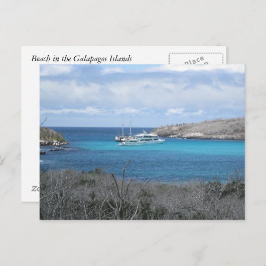 Carte Postale Plage aux îles Galapagos (Devant / Derrière)