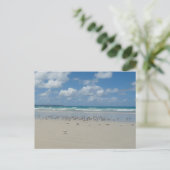 Carte Postale Plage avec mouettes (Debout devant)