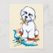 Carte Postale Plage Babe Bichon Frise (Devant)