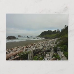 Carte Postale Plage cachée I du parc national de Redwood