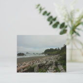Carte Postale Plage cachée I du parc national de Redwood (Debout devant)