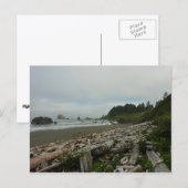 Carte Postale Plage cachée I du parc national de Redwood (Devant / Derrière)