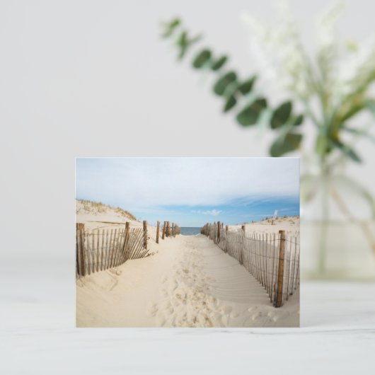 Carte Postale Plage calme (Debout devant)