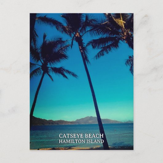 Carte Postale Plage Catseye, île d'Hamilton (Devant)
