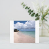 Carte Postale Plage Culebra de flamenco (Debout devant)
