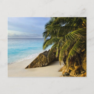 Carte Postale Plage d'Ansi Victorin