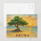 Carte Postale Plage d'Aruba Eagle Divi Tree à l'heure dorée (Devant / Derrière)