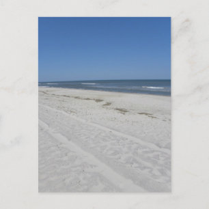 Carte Postale Plage d'Assateague