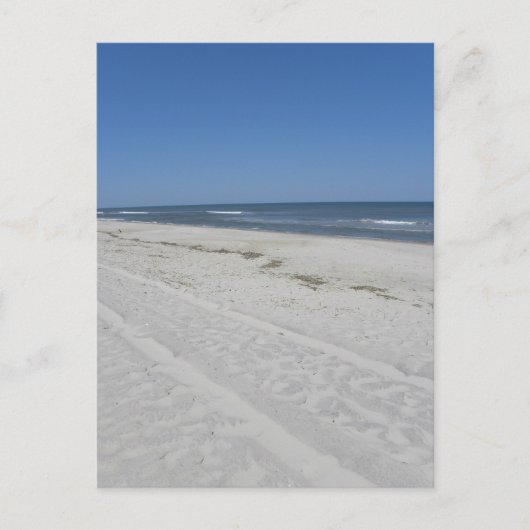 Carte Postale Plage d'Assateague (Devant)