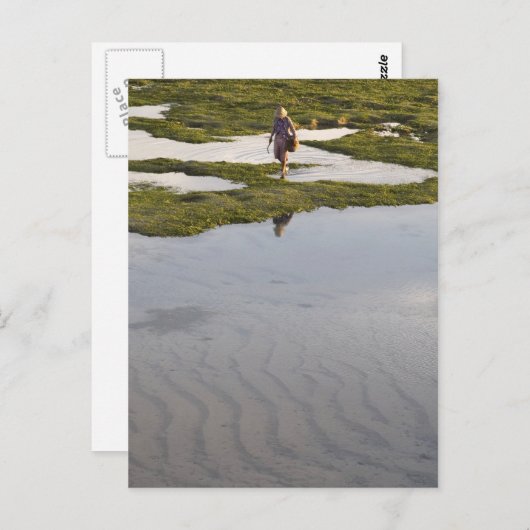 Carte Postale Plage de Bali (Devant / Derrière)