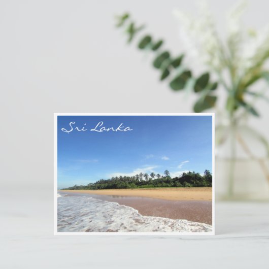 Carte Postale plage de bentota (Debout devant)