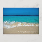 Carte Postale Plage de Cabbage (Devant)