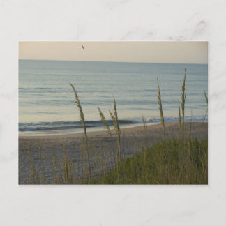 Carte Postale Plage de Carolina