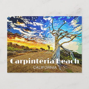 Carte Postale Plage de Carpinteria