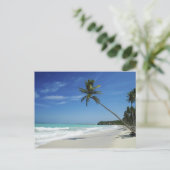 Carte Postale Plage de Cayman Island (Debout devant)
