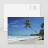 Carte Postale Plage de Cayman Island (Devant / Derrière)