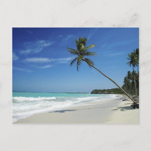 Carte Postale Plage de Cayman Island (Devant)