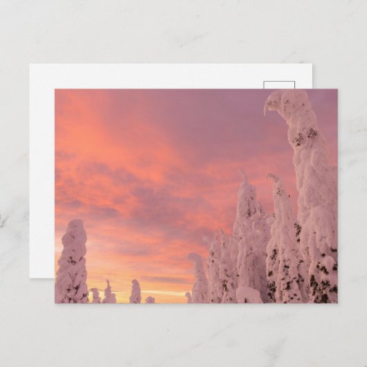 Carte Postale Plage de corégones | Corégone, Montana (Devant / Derrière)