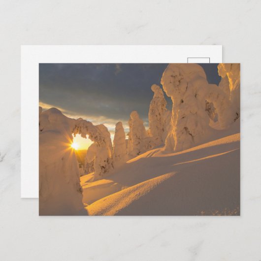 Carte Postale Plage de corégones | Corégone, Montana (Devant / Derrière)