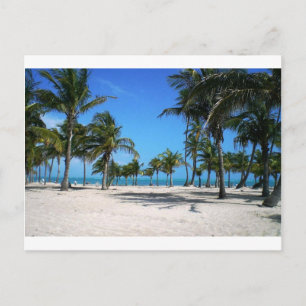 Carte Postale Plage de Crandon