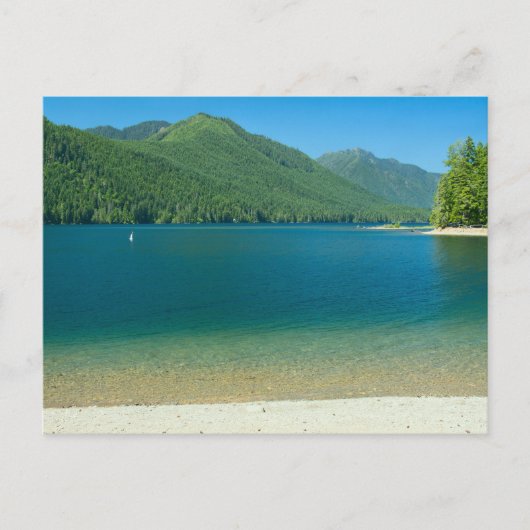 Carte Postale Plage de Cushman de lac (Devant)