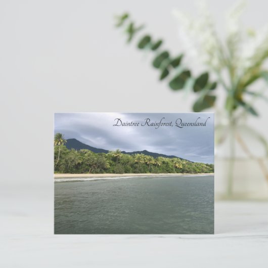 Carte Postale plage de Daintree (Debout devant)
