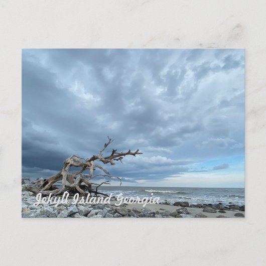 Carte Postale Plage de Driftwood (Devant)