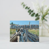 Carte Postale Plage de Driftwood Friendship (Debout devant)