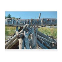 Plage de Driftwood Friendship