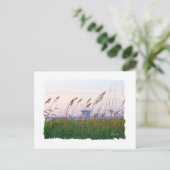 Carte Postale Plage de Floride coucher de soleil rose et violet (Debout devant)