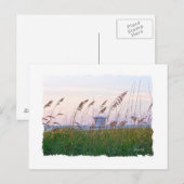 Carte Postale Plage de Floride coucher de soleil rose et violet (Devant / Derrière)