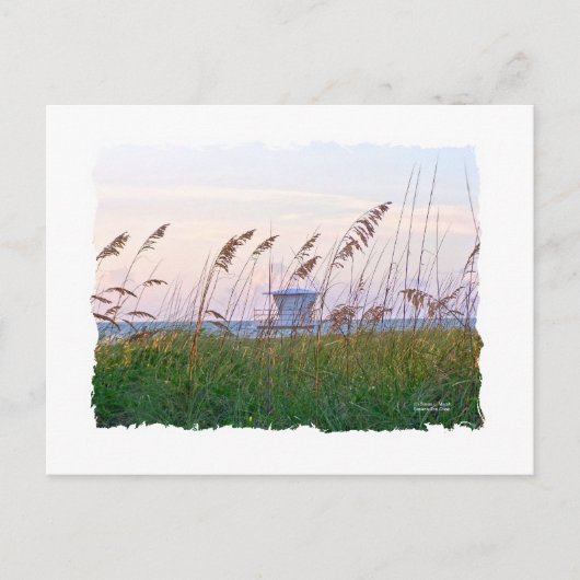 Carte Postale Plage de Floride coucher de soleil rose et violet (Devant)