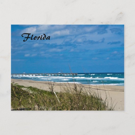 Carte Postale Plage de Floride et quai (Devant)
