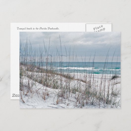 Carte Postale Plage de Floride Panhandle (Devant / Derrière)