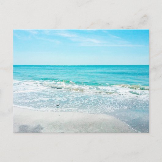 Carte Postale Plage de Floride Tropical Sable Ocean Waves Sandpi (Devant)