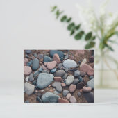 Carte Postale Plage de galets (Debout devant)