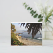 Carte Postale plage de laguna (Debout devant)