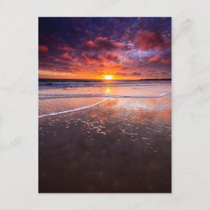 Carte Postale Plage de l'État de Ventura au coucher du soleil