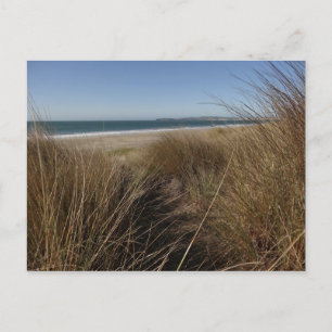 Carte Postale Plage de Limantour à Point Reyes National Seashore